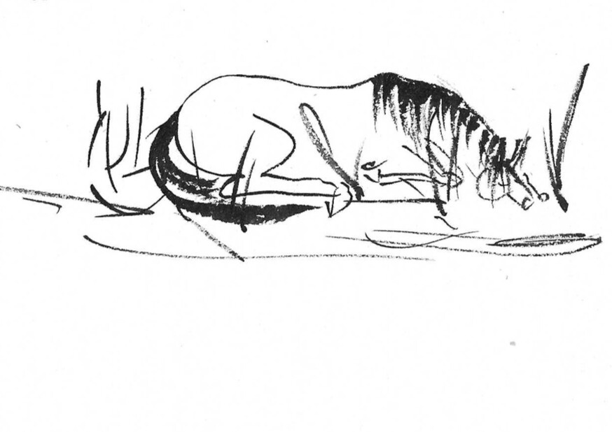 Illustration from the book: Light by the pond