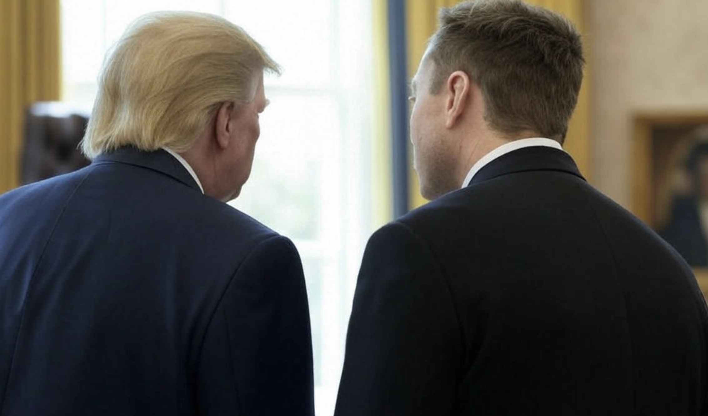 elon and don in Oval Office